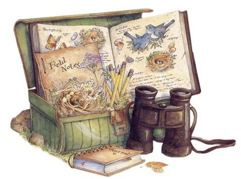 LAMINAS PARA DECOUPAGE 3