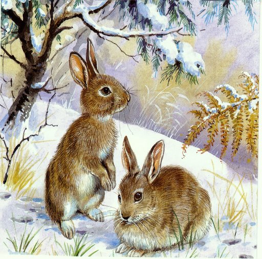 LAMINAS PARA DECOUPAGE 3