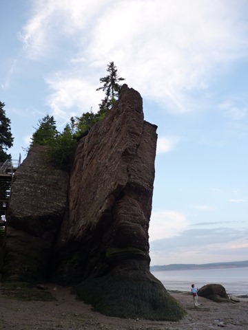 [P1010193 hopewell rocks[3].jpg]