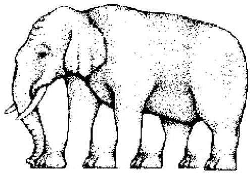 [elephant[4].jpg]
