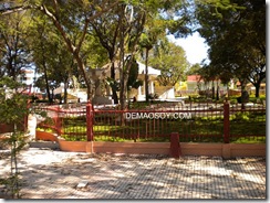 fiesta 006
