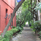 IMG_2946.JPG