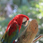 IMG_3723.JPG