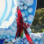 IMG_3847.JPG