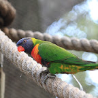 IMG_4488.JPG