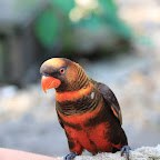 IMG_4503.JPG