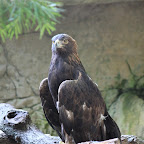 IMG_4667.JPG