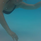 100_4394.JPG