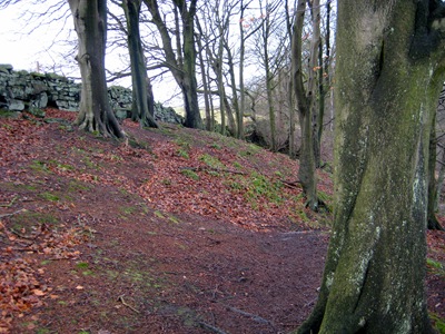 [Heptonstall Circular 01-01-16[2].jpg]