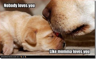 cute-puppy-pictures-momma-loves