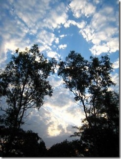 attc2009_6