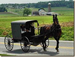 amish2