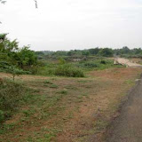 image_from_picasa