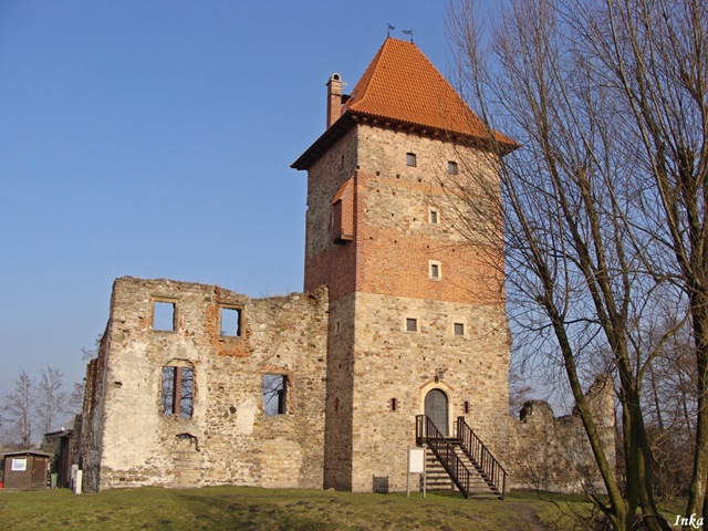 [DSC043952.jpg]