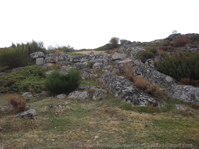 [ulaca 08-11-09 029[2].jpg]
