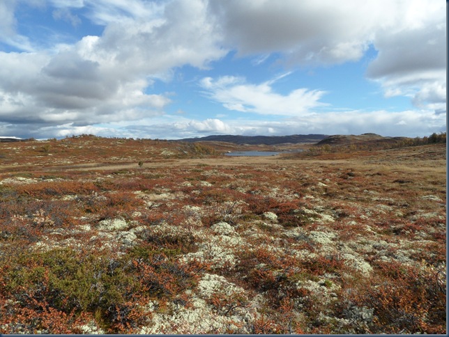 17.09 øyvassrunden 021