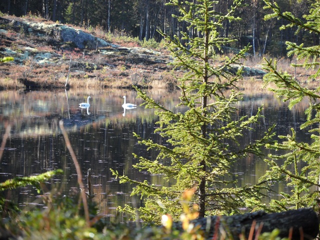 [08.10 Lomtjern og Todalen 002[3].jpg]