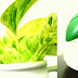 Essential trio. Stand fan to compliment ceiling fan, tiny plant, air filter. It would be perfect with ONE air con, still on the lookout for a room with aircon. my workmate found a place ten min drive from work with a/c for RM300 or less but ten min drive is calculated with no traffic jam. During rush hour could take up to half to one hour sitting in the traffic.