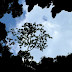 DSCF6580.JPG