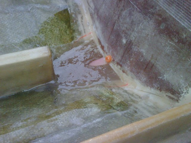 drainage%20corrected.jpg