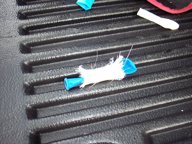 100_2124.jpg