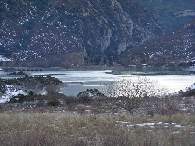 DSCF1086.JPG