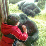 Columbus Zoo