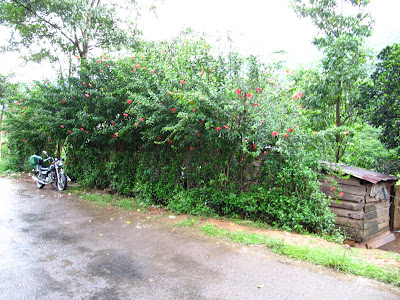 A random village stop