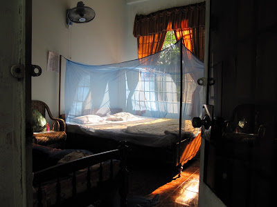 My homestay by Virgin waterfall. So many bugs, everywhere!