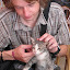 More Cat