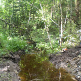 DSCN4323.JPG
