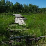 IMGP3993.JPG
