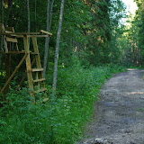 IMGP4440.JPG
