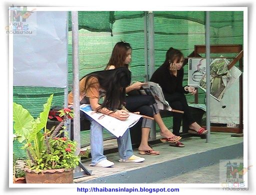 photo sangdow53