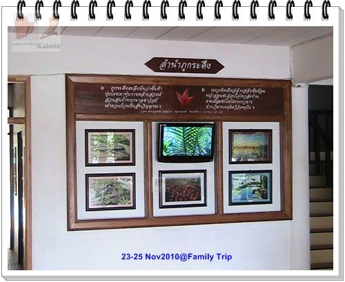 photo family