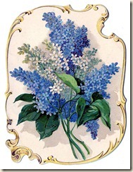 flowers-lilacs-graphicsfairy008bb