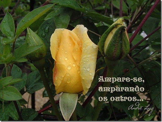 3456908145_30f9d73a7d 3456908145_30f9d73a7d