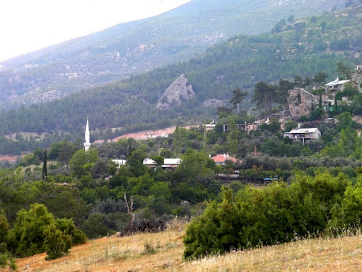 Resim