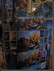 IMG_3649 IMG_3649