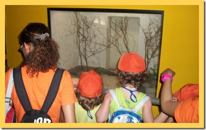 SAÍDA PEDAGÓGICA- ZOO3 SAÍDA PEDAGÓGICA- ZOO3
