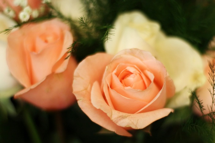 flowers