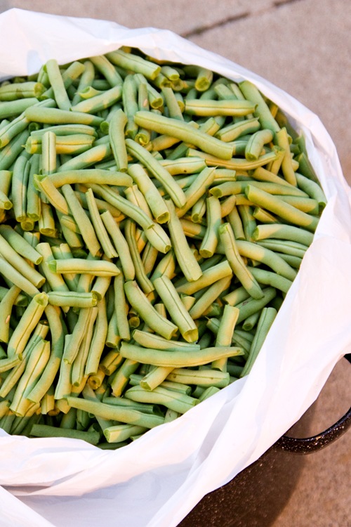beans