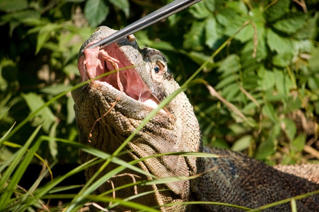 [zoo c[2].jpg]