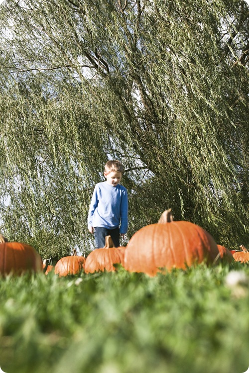 PUMPKINS