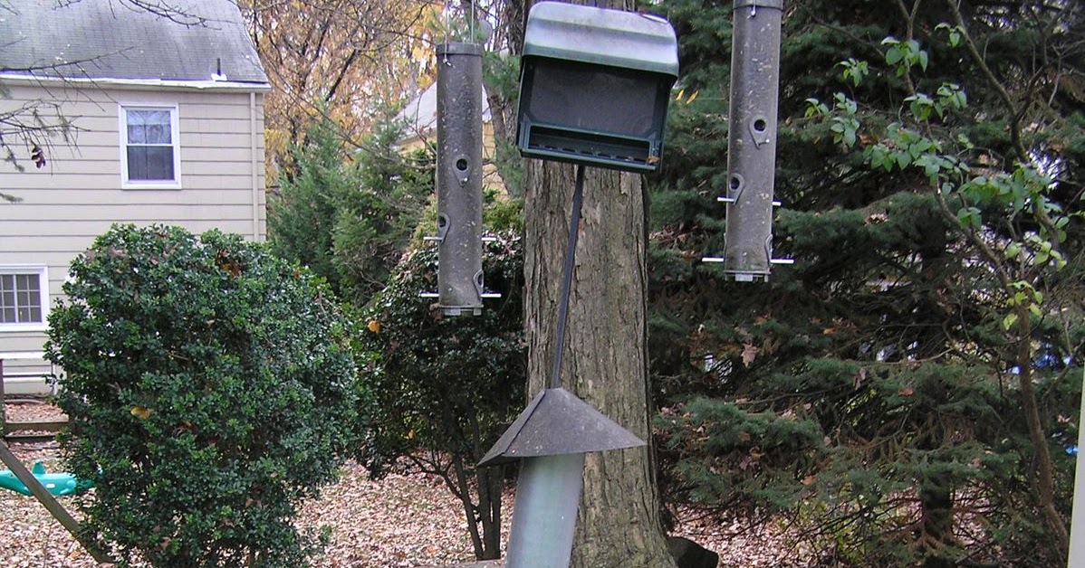 JC's Blog A SeedCatcher for PoleMounted Bird Feeders