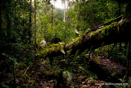 Murung Raya Expedition 2010/11