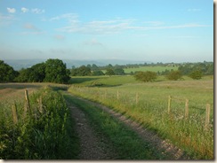 Lane_View_Cringles