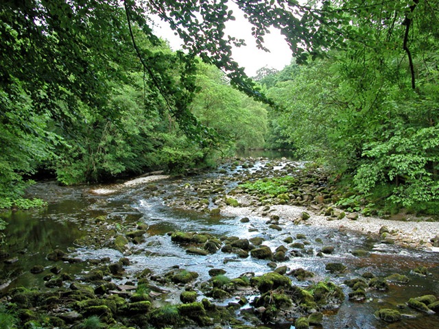 [RiverView012.jpg]