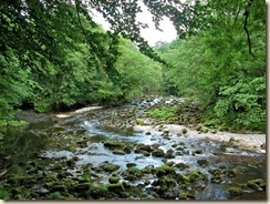 RiverView01