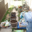 bigb00's Container garden